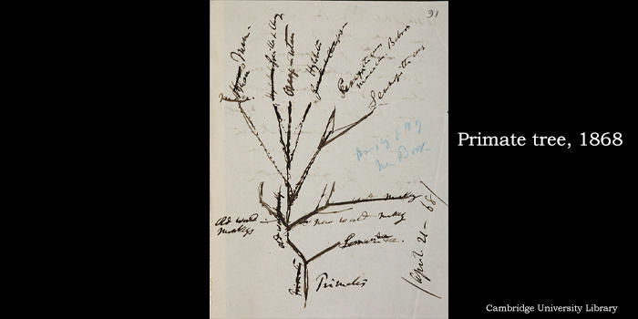 ����Ľ����۲����ͷ�չ���̵����ֵ�������