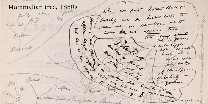 ����Ľ����۲����ͷ�չ���̵����ֵ�������