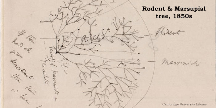 ����Ľ����۲����ͷ�չ���̵����ֵ�������