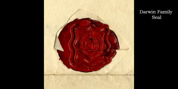 ����Ľ����۲����ͷ�չ���̵����ֵ�������