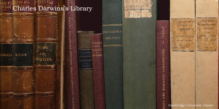 ����Ľ����۲����ͷ�չ���̵����ֵ�������