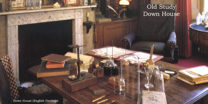 ����Ľ����۲����ͷ�չ���̵����ֵ�������