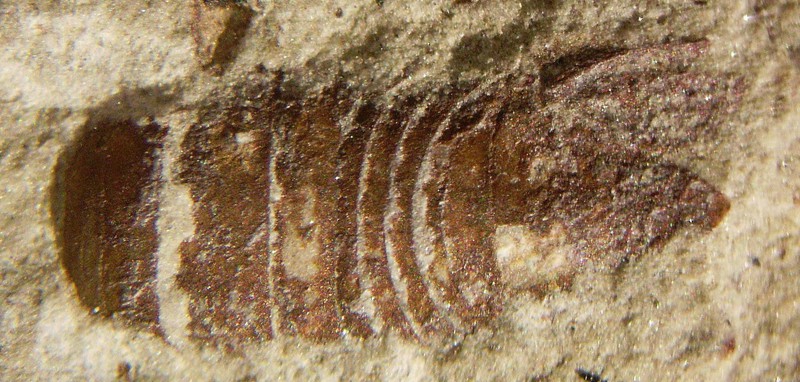 �·��ֵ���ͷˮʭ��ʯ