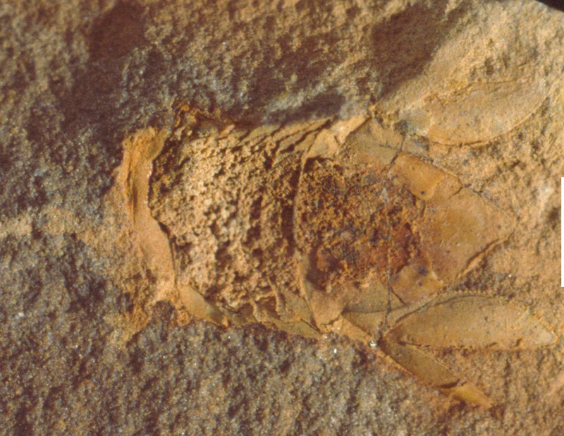 �·��ֵ���ͷˮʭ��ʯ