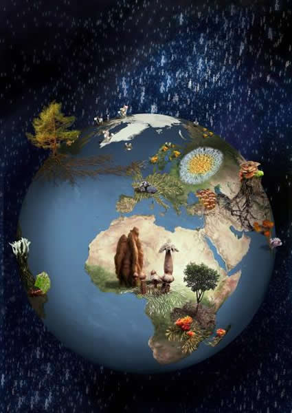 ֲ����������ݻ��������ȥ����Ϊ�������໥��֯��һ��