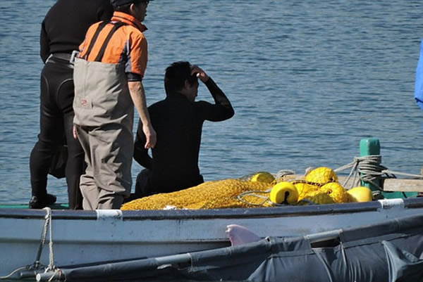 日本和歌山县渔民开展新的“海豚捕杀季”。