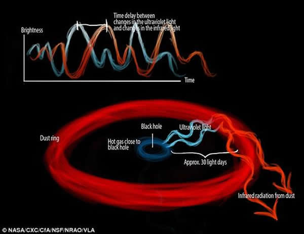当气体物质向着黑洞下落,在此过程中会被加热并发出紫外波段附设,并造成周遭尘埃云的升温。利用地球上的望远镜,科学家们测量了来自黑洞附近以及尘埃云附近光线抵达的时间