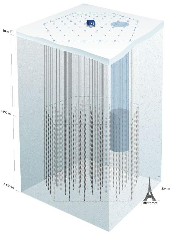 ܺΰԶΪIceCubeѧһ8ʱȥ