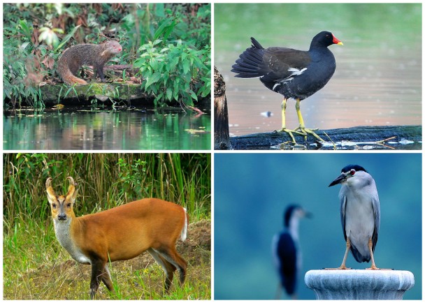 ִ����Ա���ʳз�B�����ϣ�����ˮ�������ϣ������䣨���£���ҹ�أ����£��ȱ������������ͼƬ��