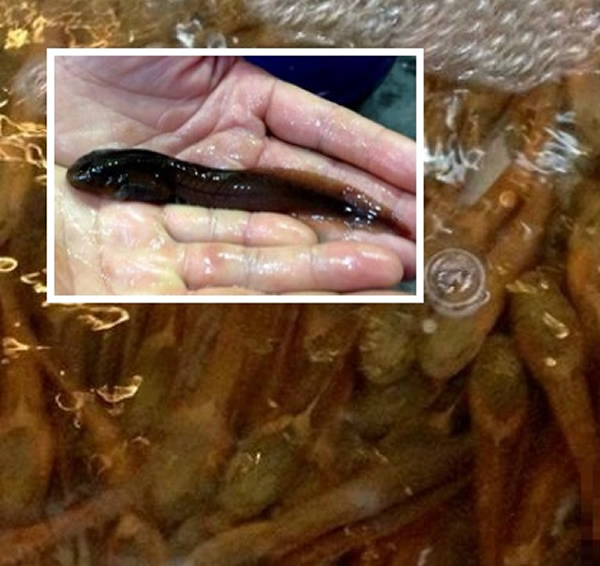 �Ĵ���üɽ���˷Ƿ����̺����۱�Σ���ܶ����ü���