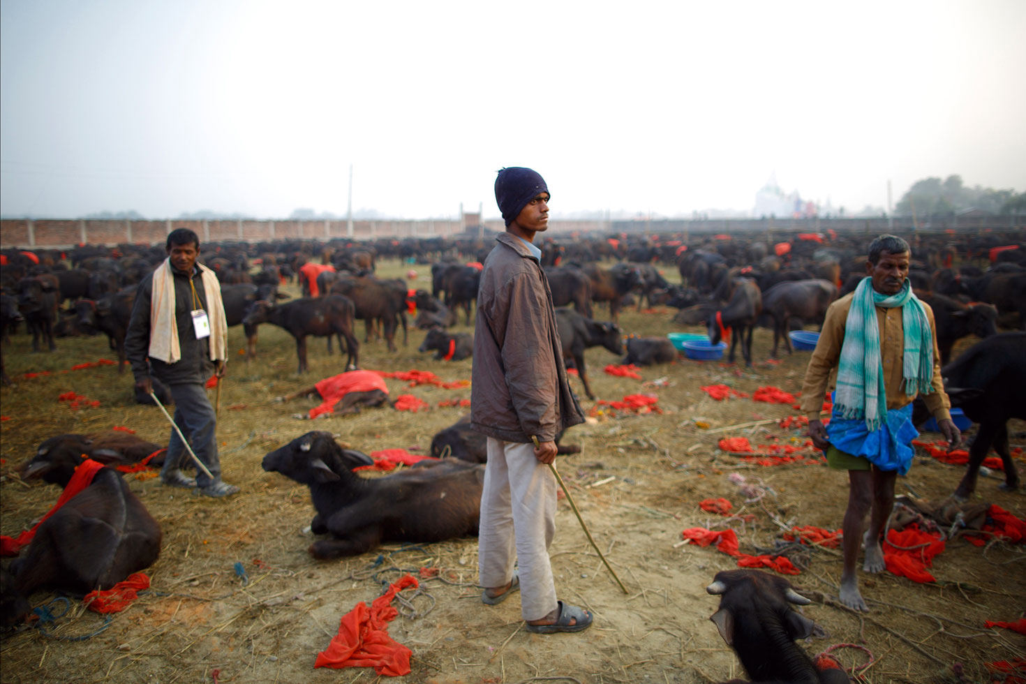 �Ჴ����ׯ��־���5��һ�ȵ���ɱ������� ��ʮ���ﱻ��ɱ