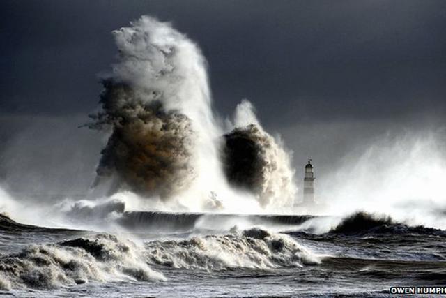 Ӣ���ʼ�ѧ�ᾯ��δ�����ཫ��Ը���ļ�������