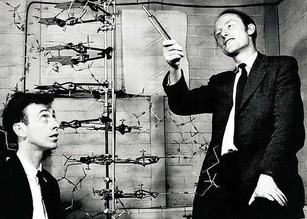 沃森(左)因发现DNA,于1962年获颁诺贝尔奖。