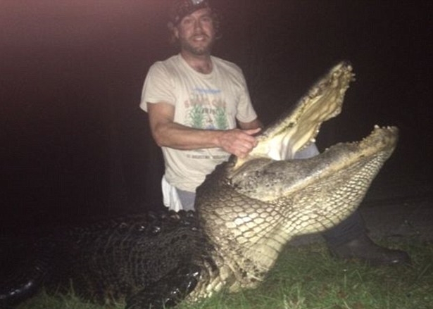 伍兹拜抱起巨鳄头部,可见鳄鱼体型甚巨。