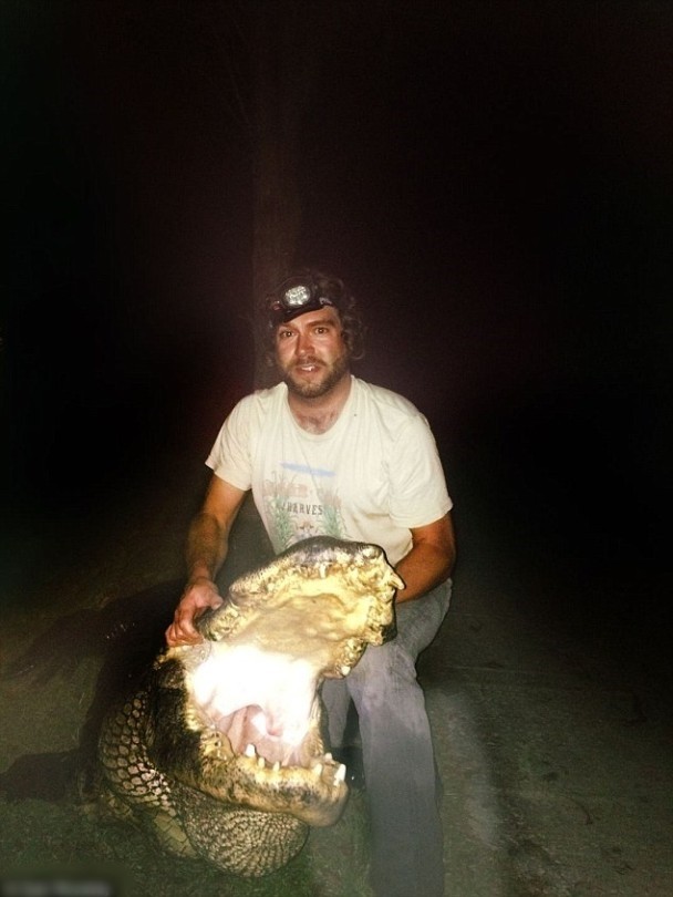 巨鳄张开大口,甚为吓人。