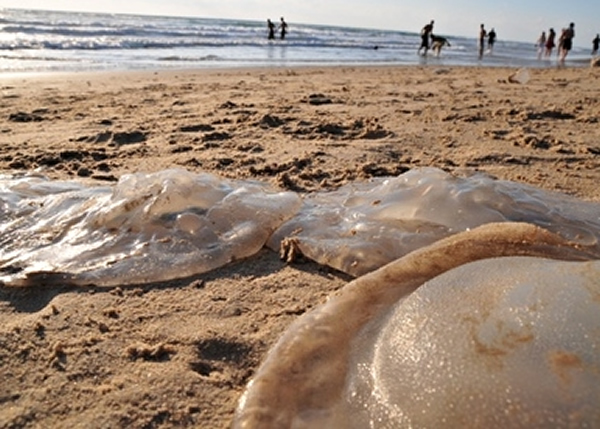 жˮĸʿ˺ӣʹɳ̲رա