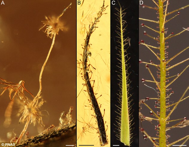 3500���굽4700����ǰ�Ĳ��޵ĺ������з�����ʳֲ��