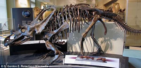 ôȻݣһǰΪϿĿʯְڰ˹ѧﻯѧϵʾԼķ˵һĿȺԶǰԤơ