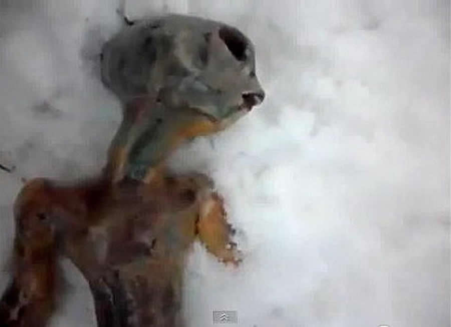 ��������������