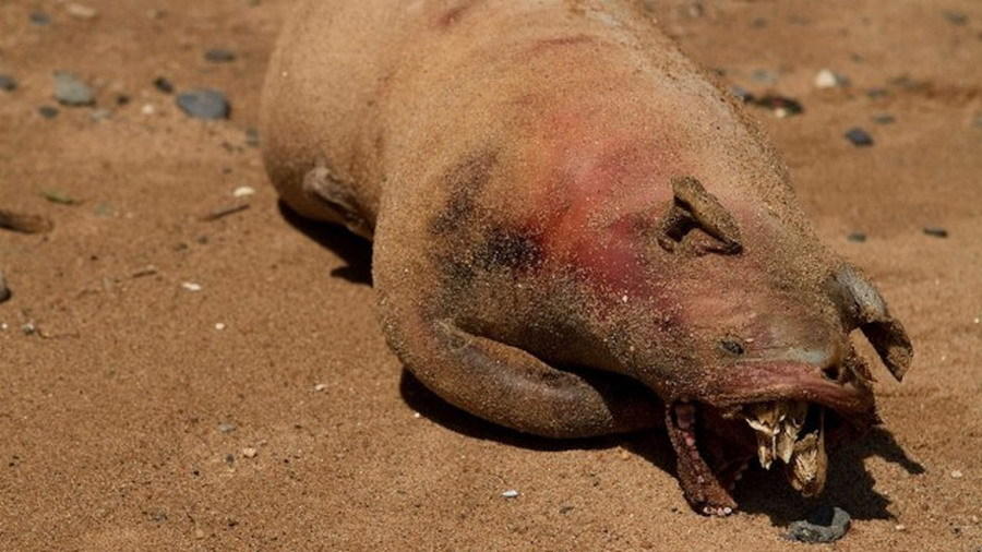 ���ӹ���