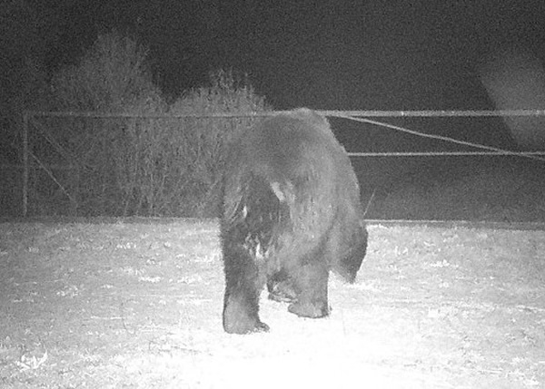 �о���Ա�ĵ������������ܵ���Ӱ��