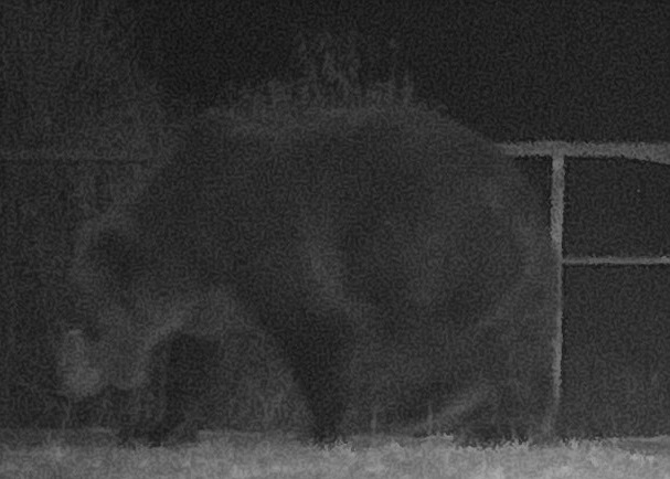 ���ܰ������״��ڸô����֡�