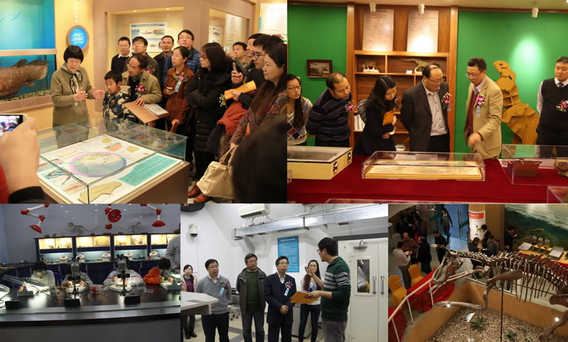 中国古动物馆的“博物馆之夜”