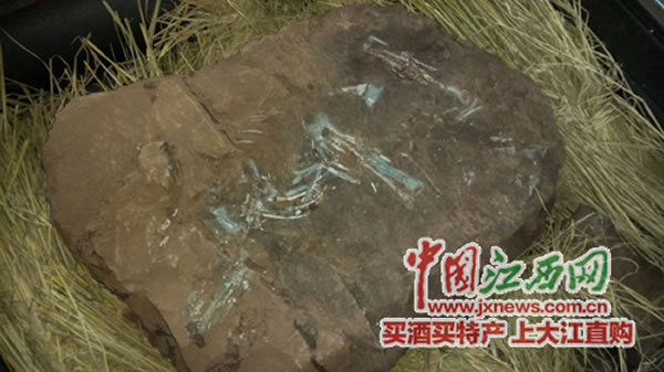 ʡнط6600ǰѼ͵Եʯ