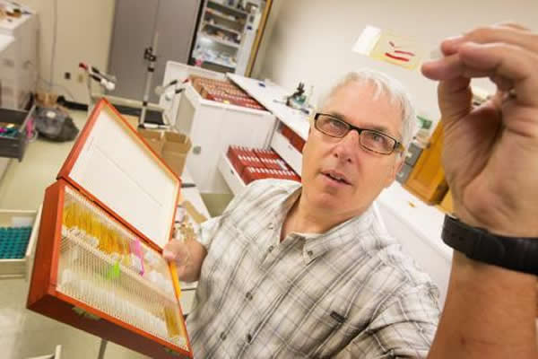 斯科特•加德纳