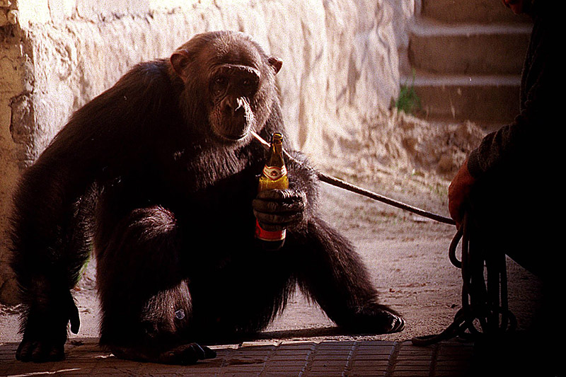 �������Ȼ���һǧ����ǰ�Ϳ�ʼ����