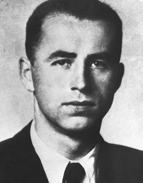 ��³����ȫ����Ҫͨ���ɴ�ս������λ�µ������ɴ⵳�������ٶ�ս�ڼ��������Լ12.8����������ŷ�޵���̫��������������Ӫ��