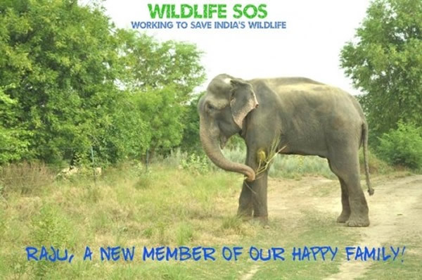 ����Ű������50�����ӡ�ȴ��󾭹�Ӣ����������Ӫ�������뿪��� ���¸м���ˮ