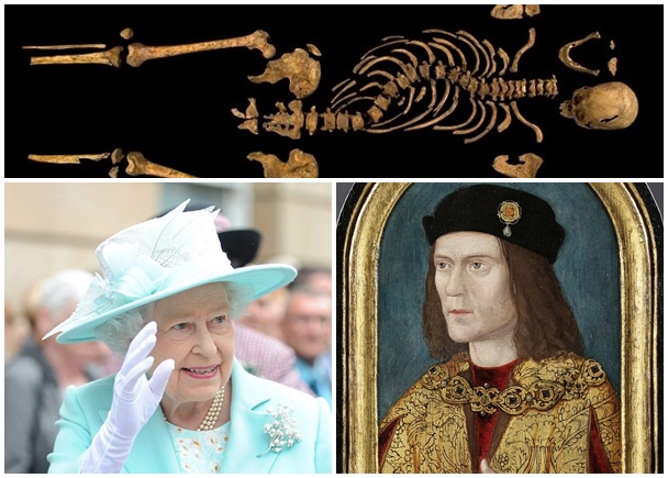 ѧҳ3(ͼ)DNAӢŮ(ͼ)һ֧ѪÂϡ