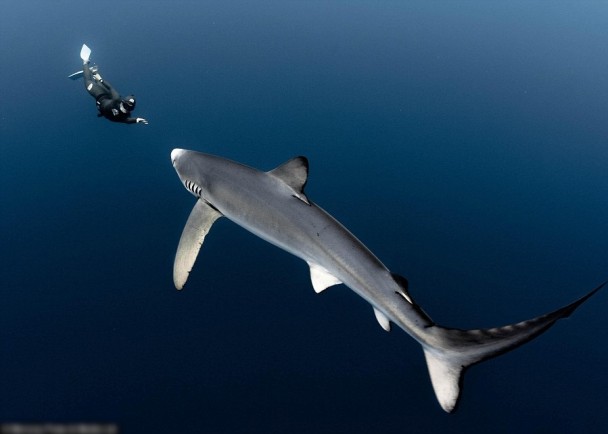 ��������������賩Ӿ