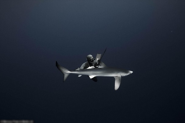 ǱˮԱ������������������Ӵ�