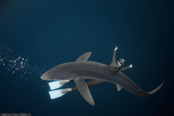 ǱˮԱ�����迴������Ĭ��