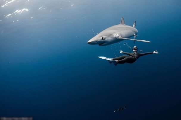 ³������Ү�º��ʾ���������Ǻ��߼����档