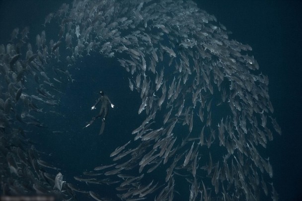 ��ǧ�������Χ��ǱˮԱ��Ӿ������׳�ۡ�