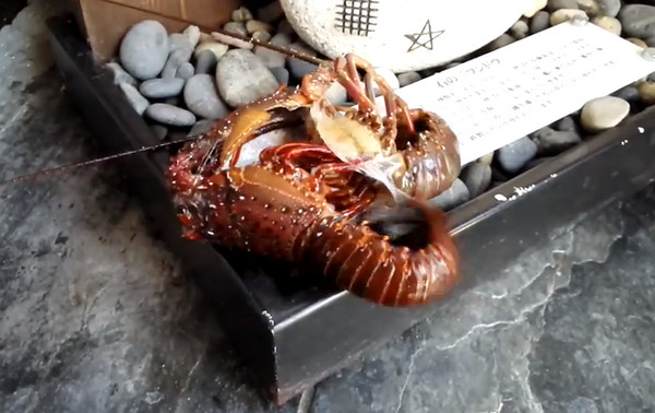 ��Ϻ��ȫ�ѿǵľ���˲��