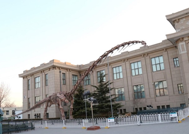 大会在博物馆外展出了巨型汝阳龙复原骨架