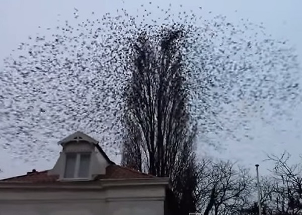 ȸ�����������ܾ�һ���ɢ��ʮ��׳�ۡ�