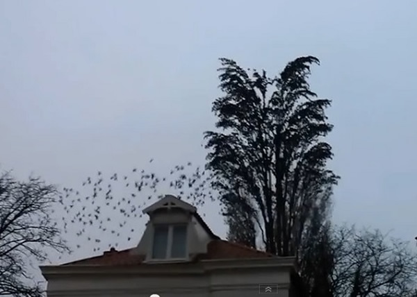 һ��Ⱥȸ�����һ�ø�����