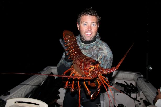 ����ͽǱ����ѧ���ڼ��ݺ���׽��һֻ�ش�12���ľ�����Ϻ