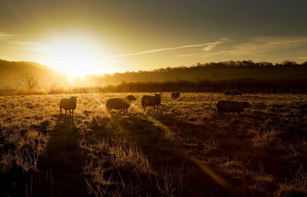 ���ٶ���æ��׼������