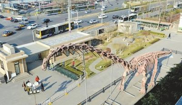 “巨型汝阳龙”复原骨架长38.1米,头部离地面14.5米。