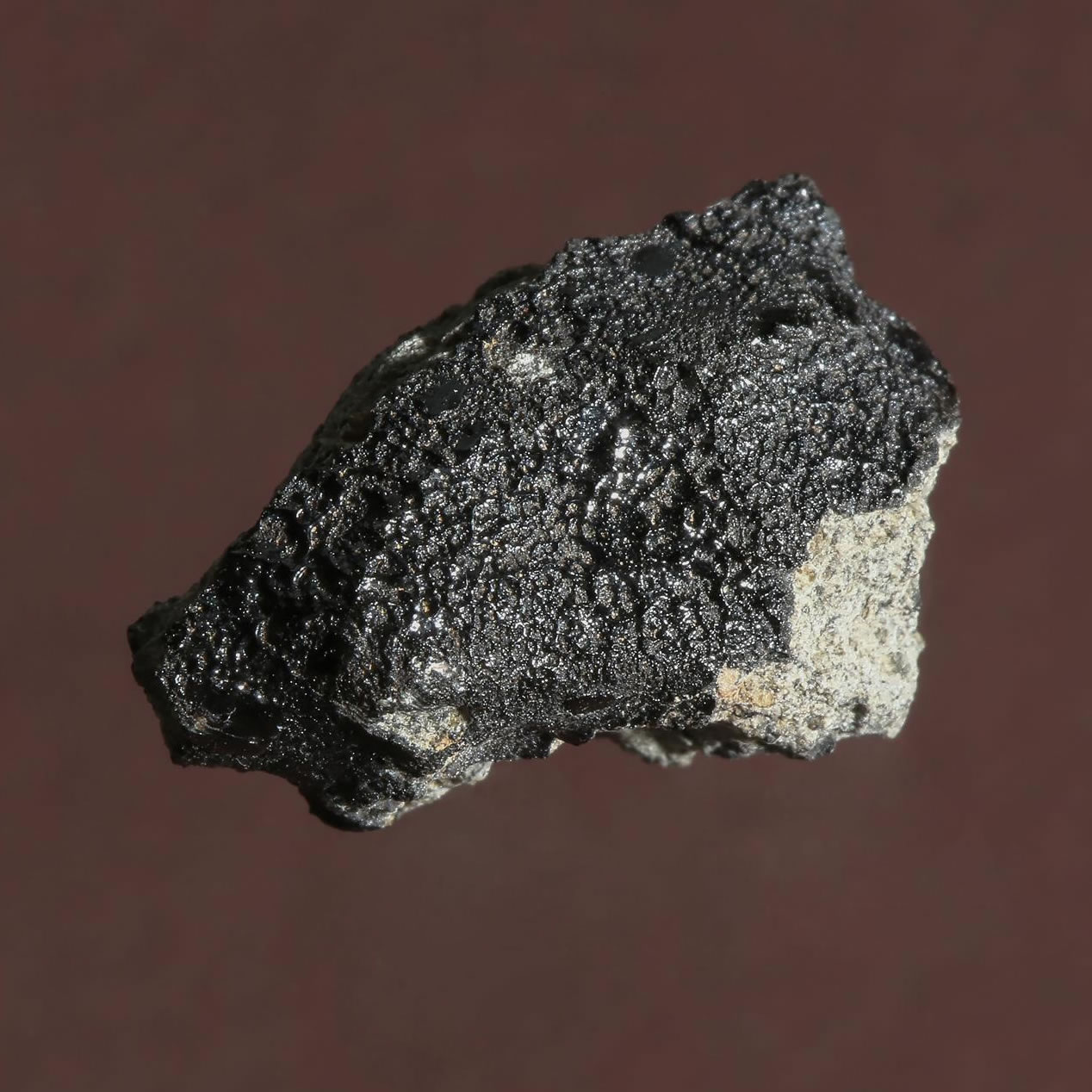 摩洛哥陨石中发现碳成分 火星上或曾经存在生命