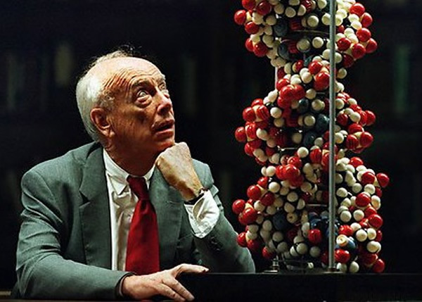 沃森拍卖奖牌帮补生计。