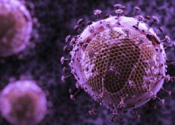 �о�ָ���̲�����(ͼ)��������в�ڼ���