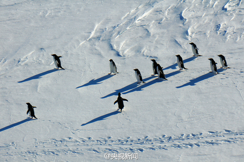 �й�ѩ���ſƿ������ϼ�ж�������Χ��