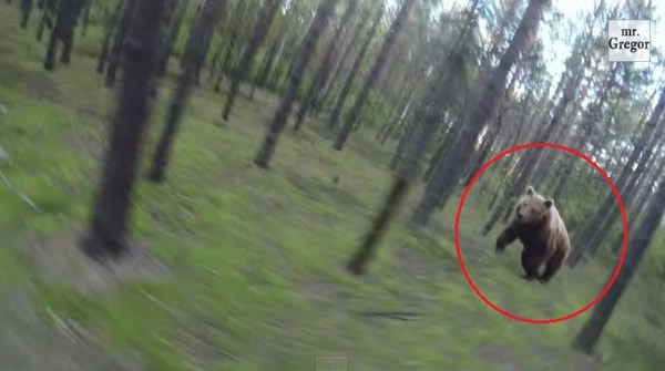 ��ɭ��������Ұ�����ܱ���׷